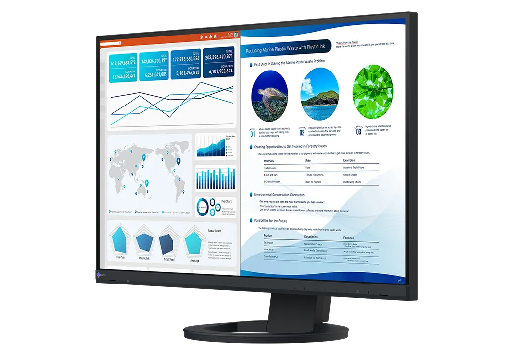 eizo-FlexScan-professional